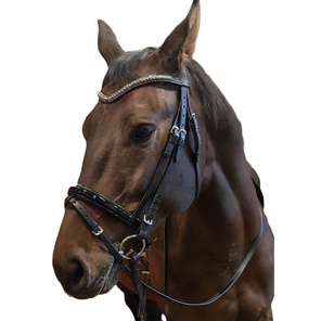 Уздечка с анатомическим затылком CD